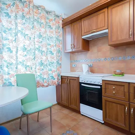 Apartment On Pritytskogo Street *